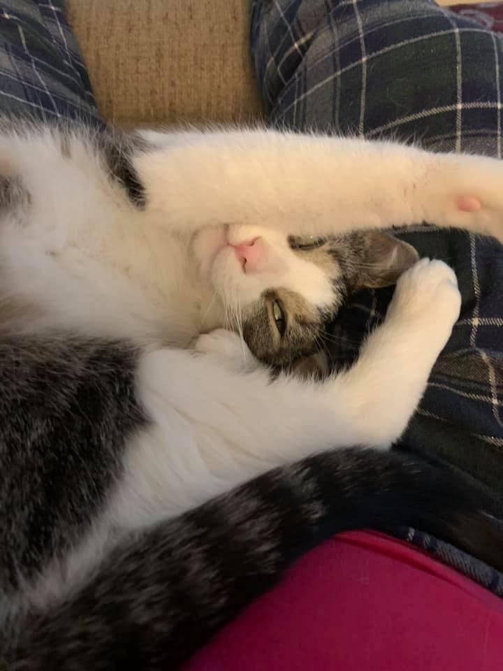 So very tired. Lol