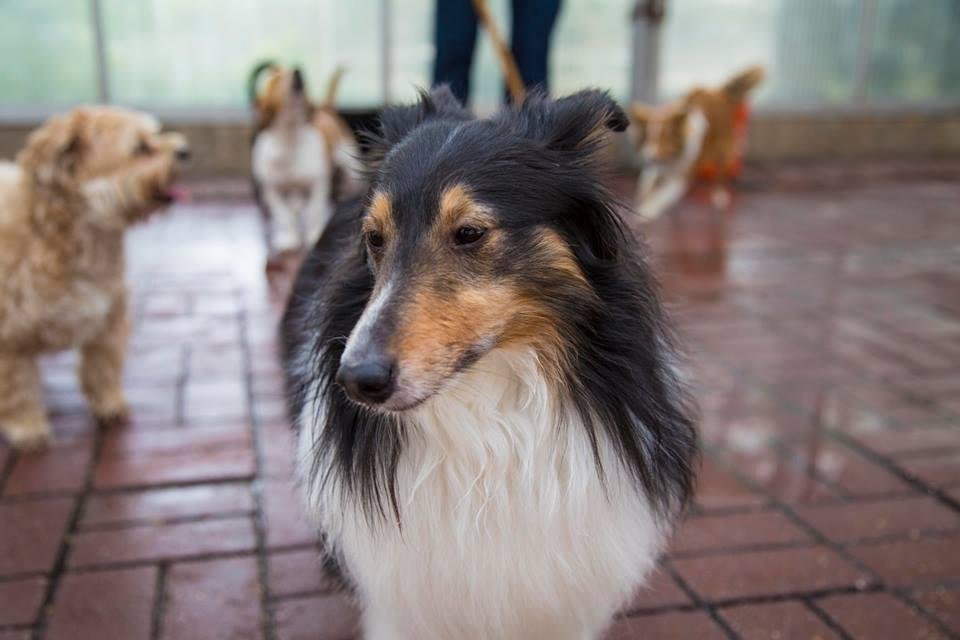 Mark Gross' album, Timeline Photos