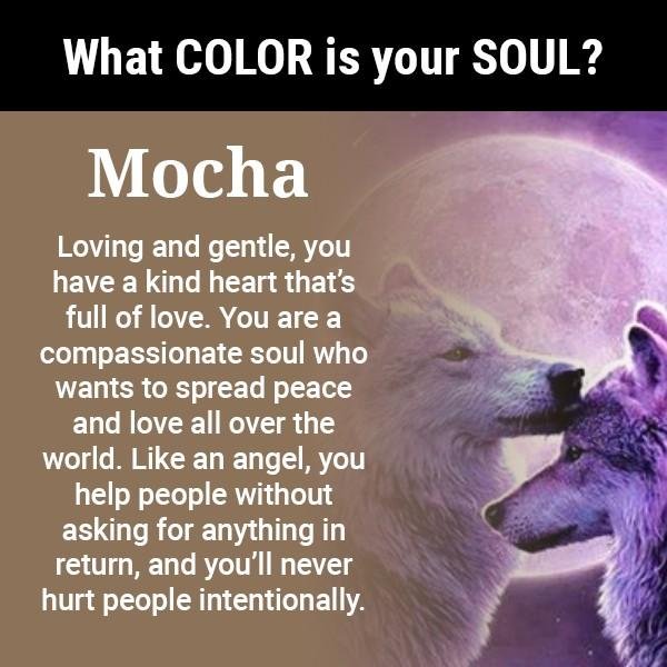 Sheila North's album, Timeline Photos
