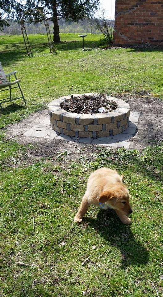 My fire pit