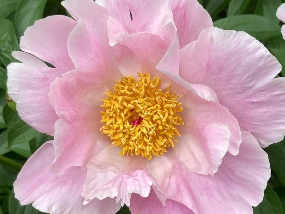 Chris Warter's album, Mobile Uploads