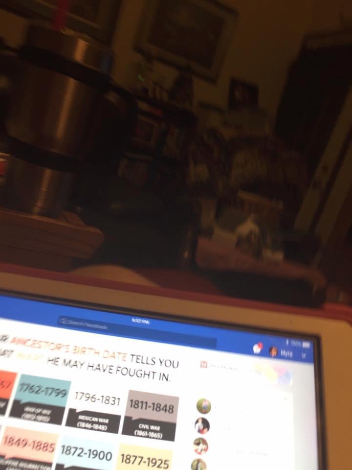 Myra Carpenter's album, Mobile Uploads