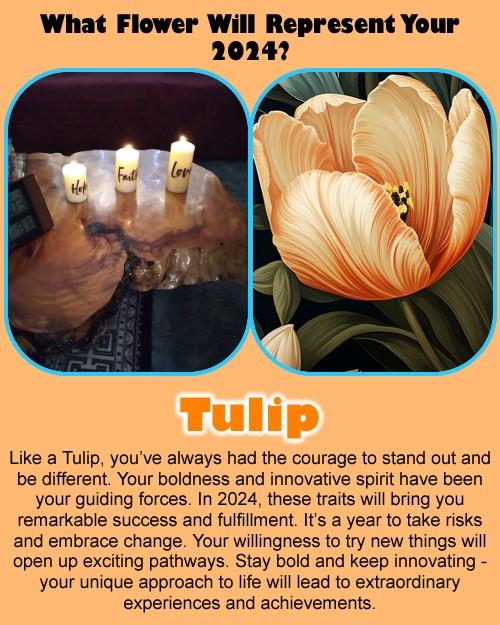 Donna Tumey's album, Timeline photos