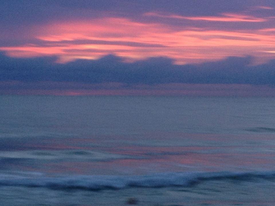 Sharon Leonard's album, iOS Photos