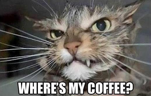 Charles Iliff's album, Timeline Photos