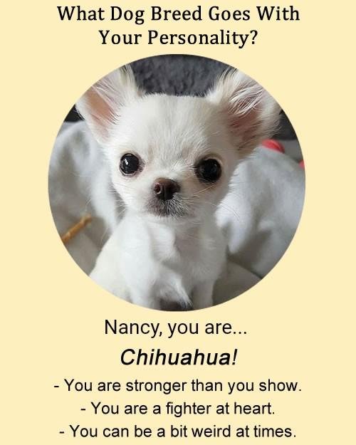 Nancy Magrini's album, Timeline photos