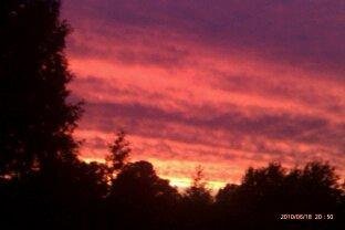Rod Warren's album, Mobile Uploads