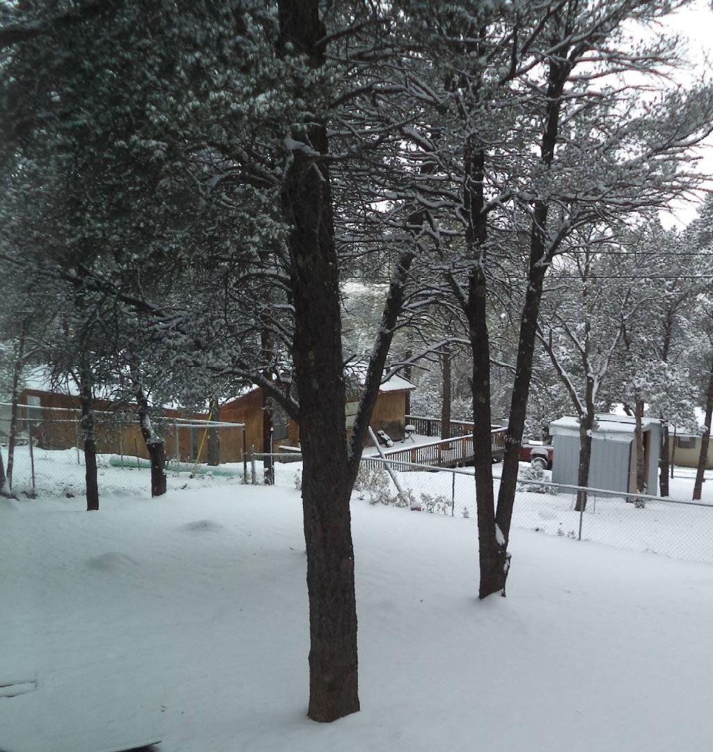Another SNOW DAY in Ruidoso...six inches since noon yesterday.