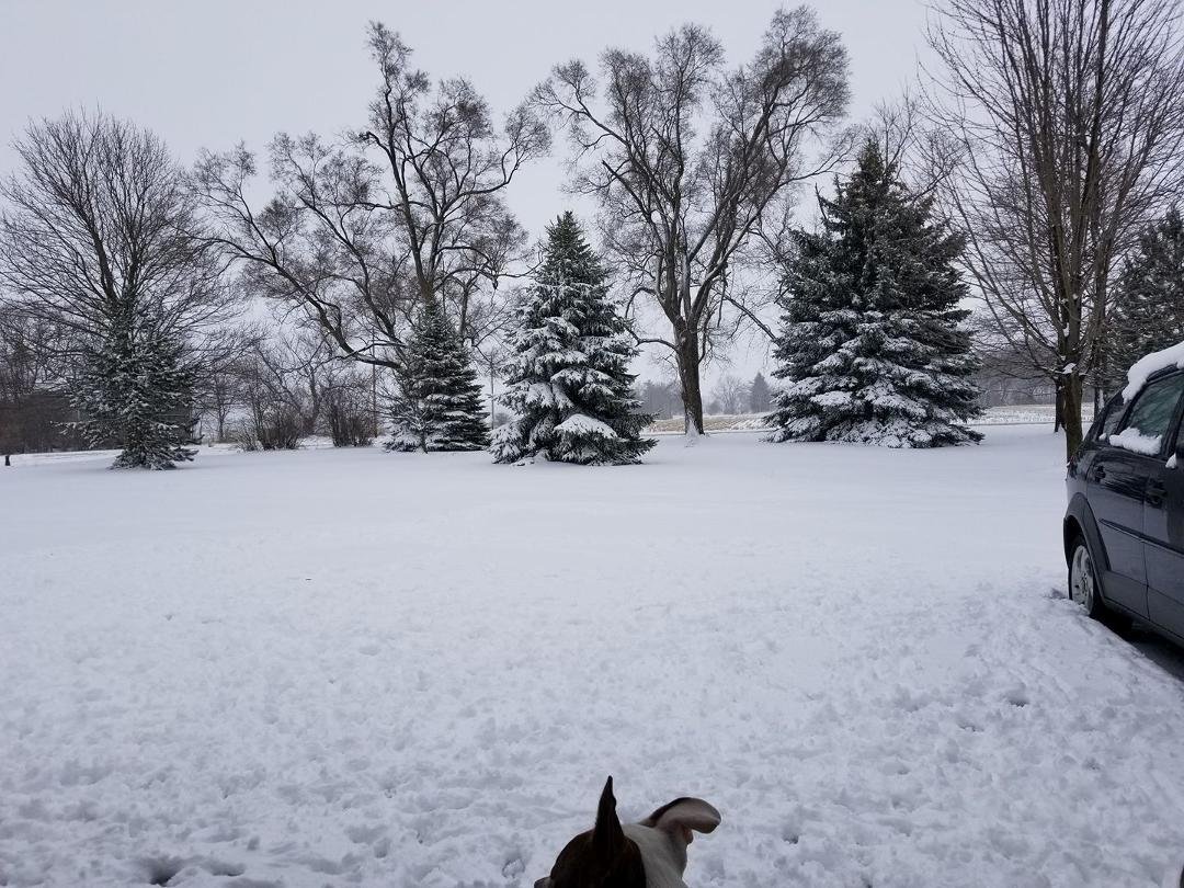 This doesn't look like spring to me... argh

BTW yes those are Petey's ears lol