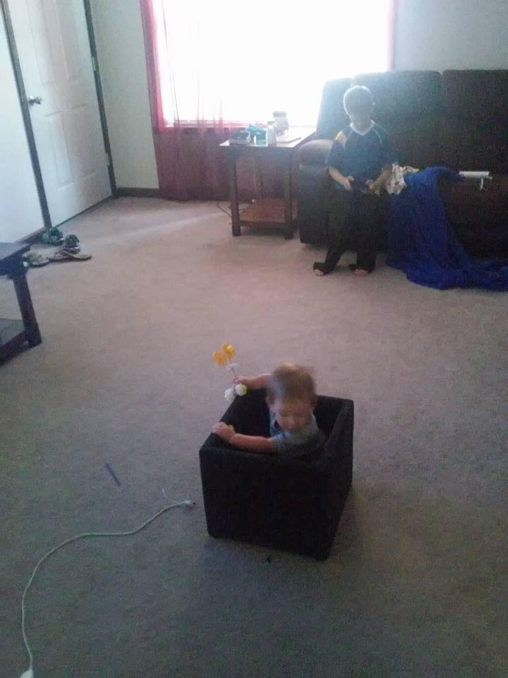 Love this little guy. He is hilarious