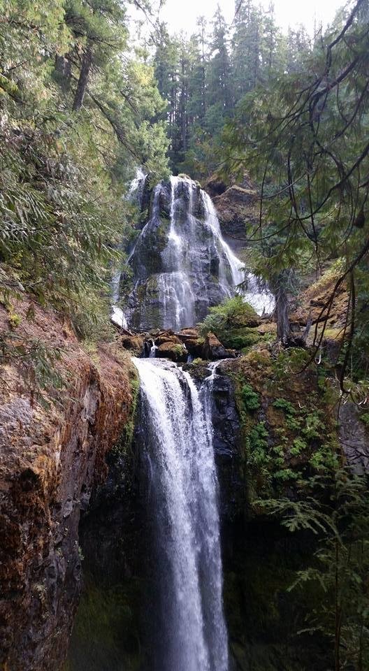 Great hike today at Falls Creek falls.  So beautiful