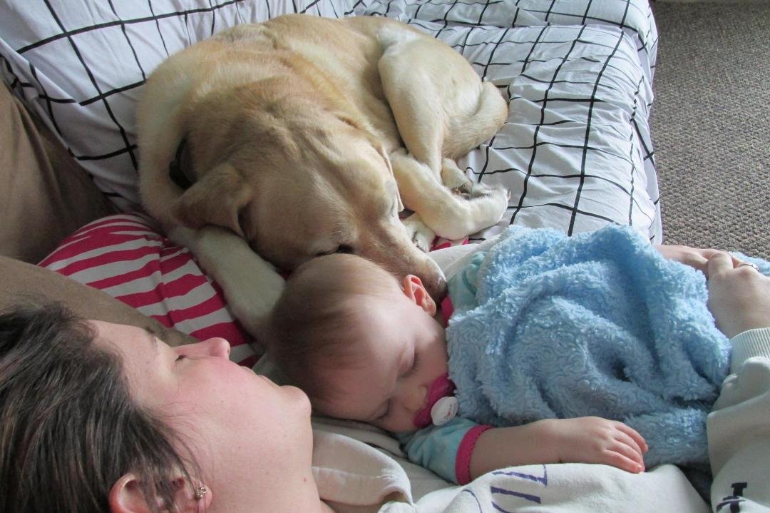 SHHHHHHH snuggling and sleeping