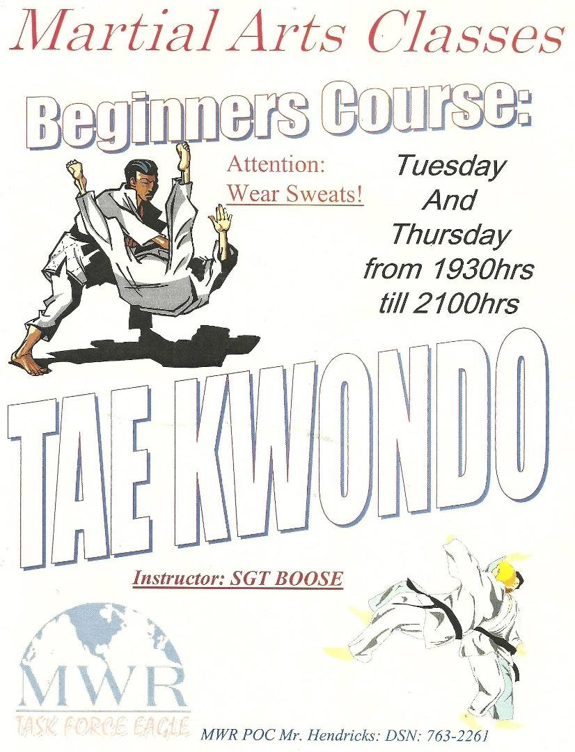 Tae Kwon Do in Bosnia taught by me.