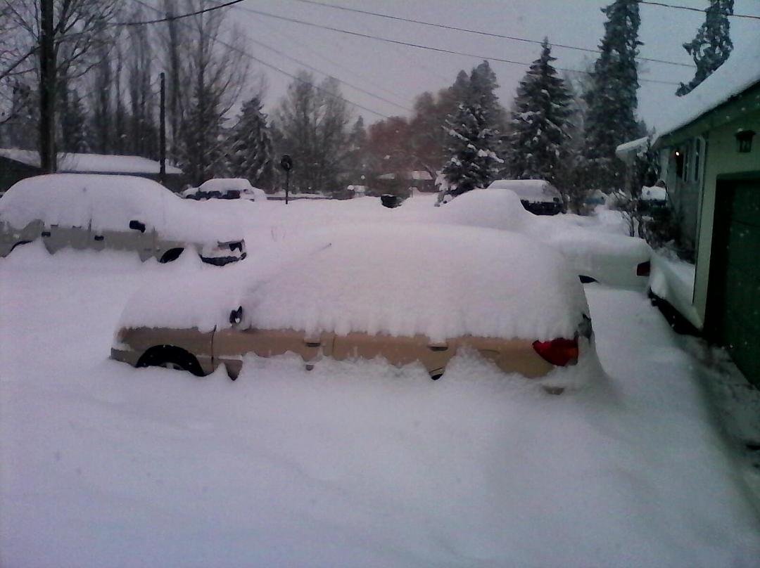 Kelly N Candida's car.