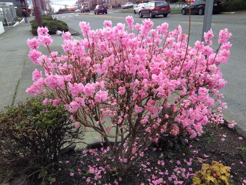 Its Spring!!!