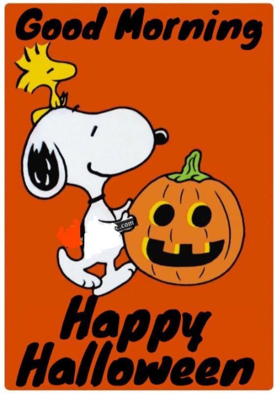 Have a safe and fun day.