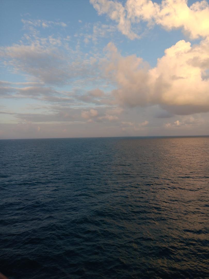 God's marvelous creation!