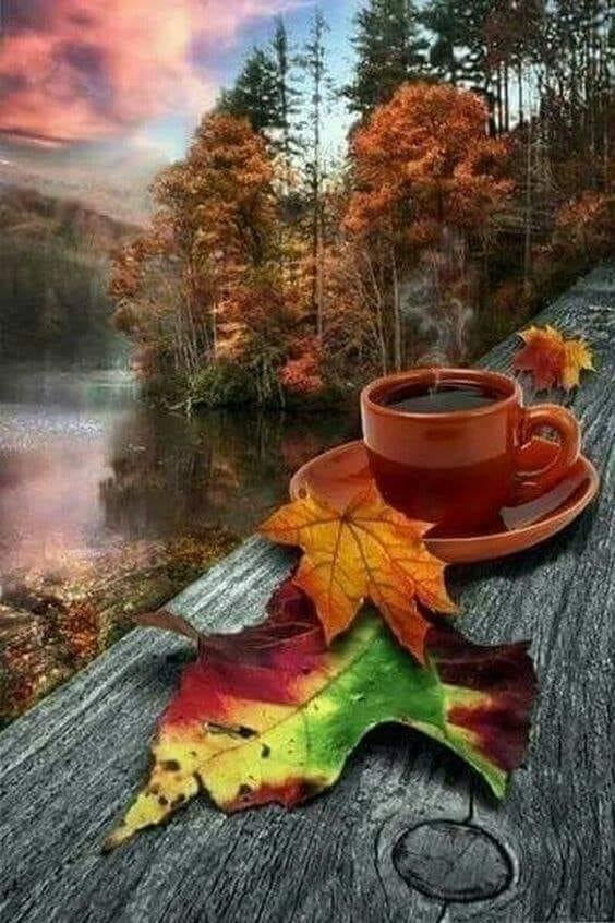 Have a wonderful weekend.