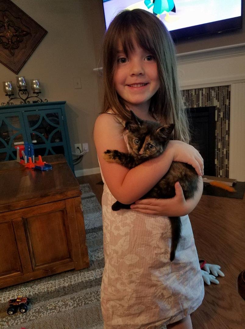 Introducing Mavis, poor kitty