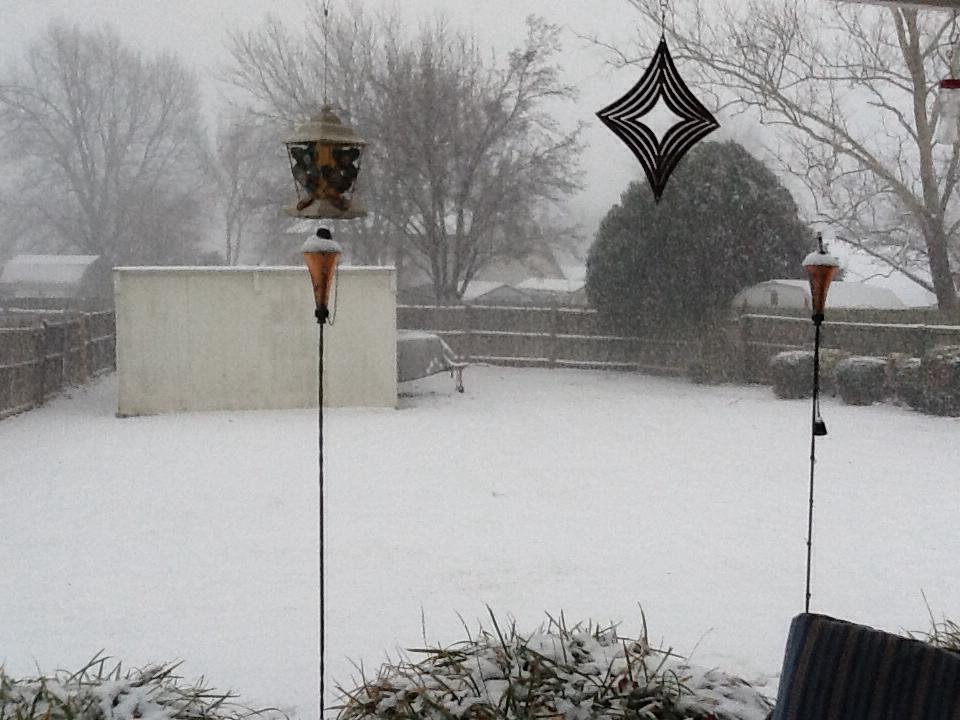 Jarry Spruell's album, Mobile Uploads