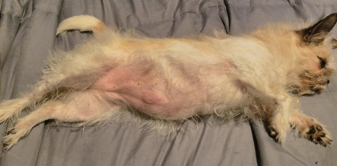 Summer's profile pic on Tinder.