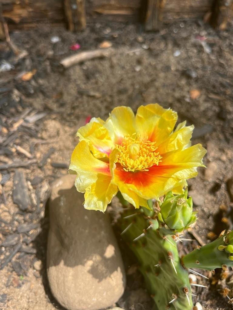 Vanness McCormack's album, Mobile uploads