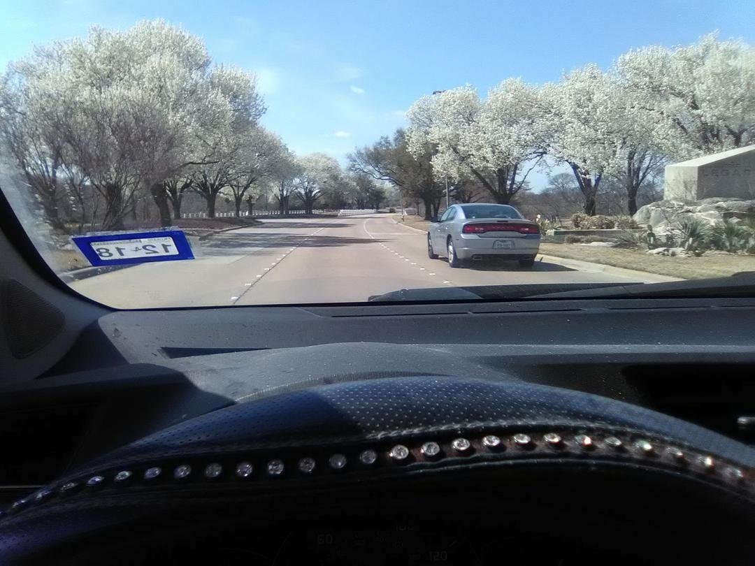 The Dogwoods are stunning on Legacy in Plano! This pic doesn't do them justice as I was driving when I took it.