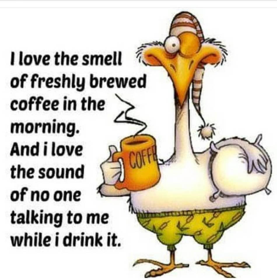 Kathy Dodd's album, Timeline Photos