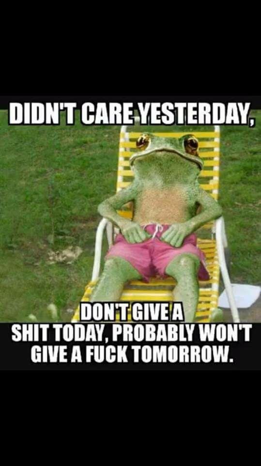This sums it up!