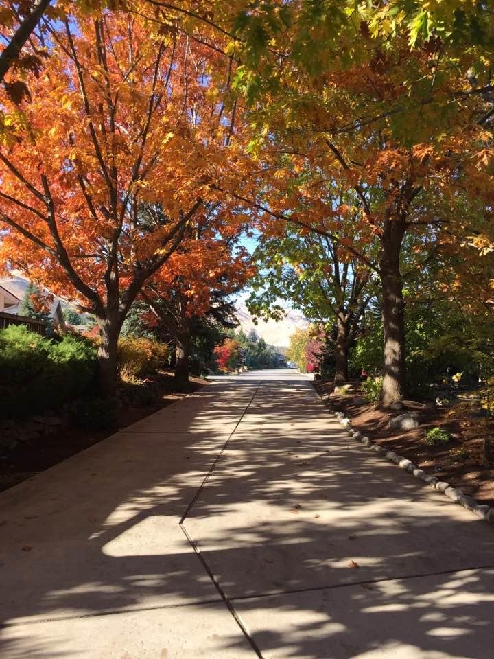 More Fall foliage