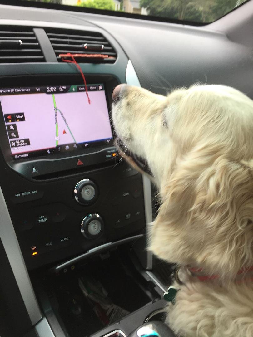 Waiting for her munchkins