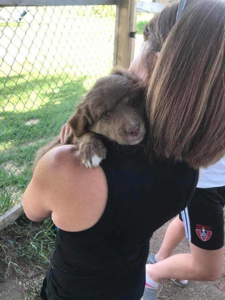 Welcome to the family Bronco.