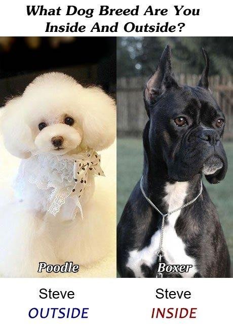 Steve Harunk's album, Timeline Photos