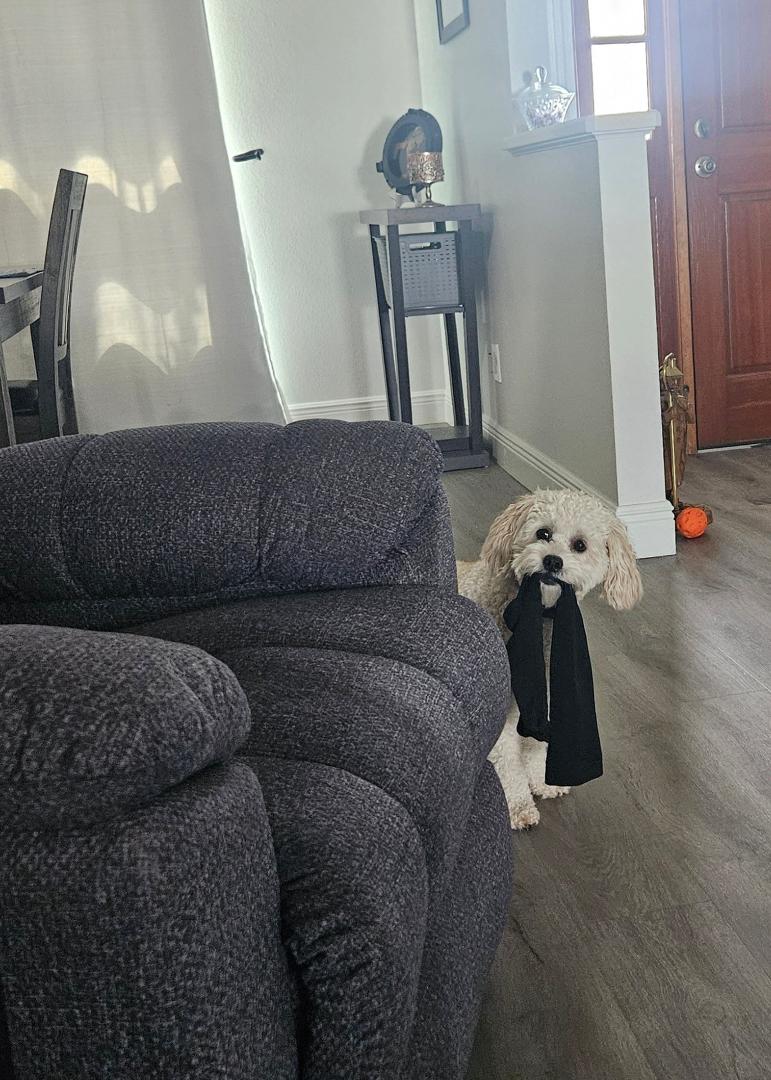 Laundry day.