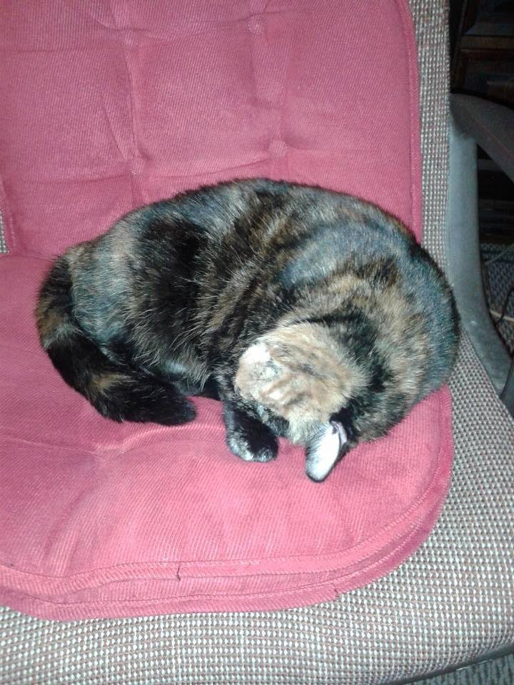 My fancy face is sleep ing