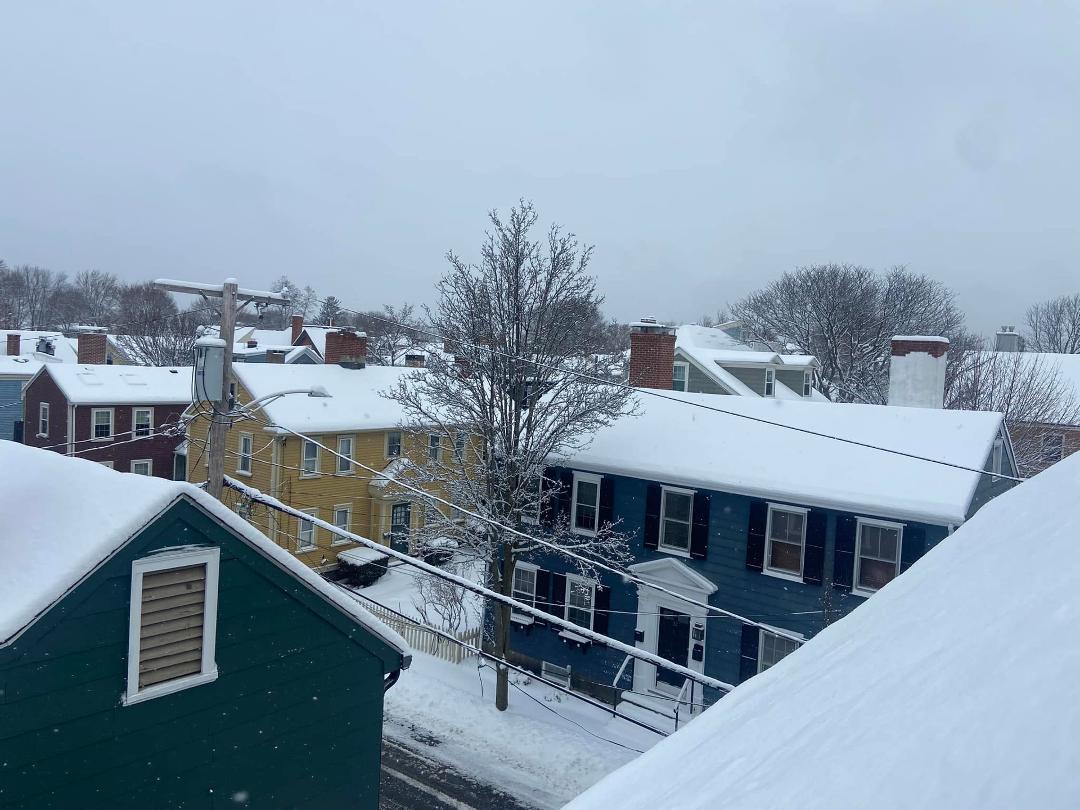 View this morning from the skylight on my roof.