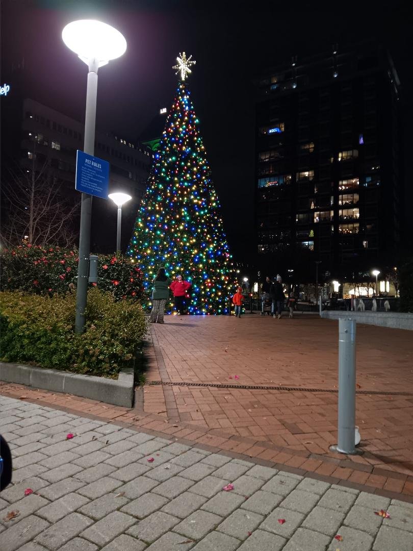 Downtown Xmas Tree
Kelsey
