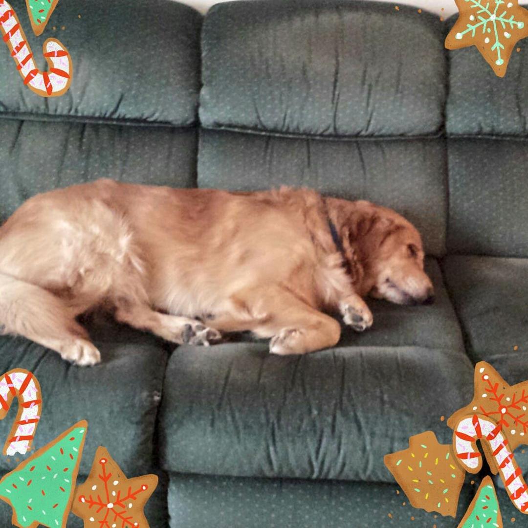 Merry Christmas y'all. Great things to happen in the year quickly approaching. Love, DAVE & Nelson too.
