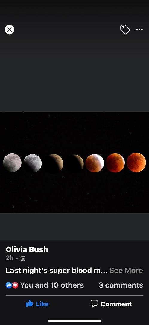 Someone captured and made a composition of all the stages of the total blood moon lunar eclipse last night at Indian Rocks Beach. Beautiful!