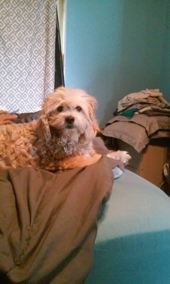 Buddy says y'all have a safe Memorial Day weekend. xo