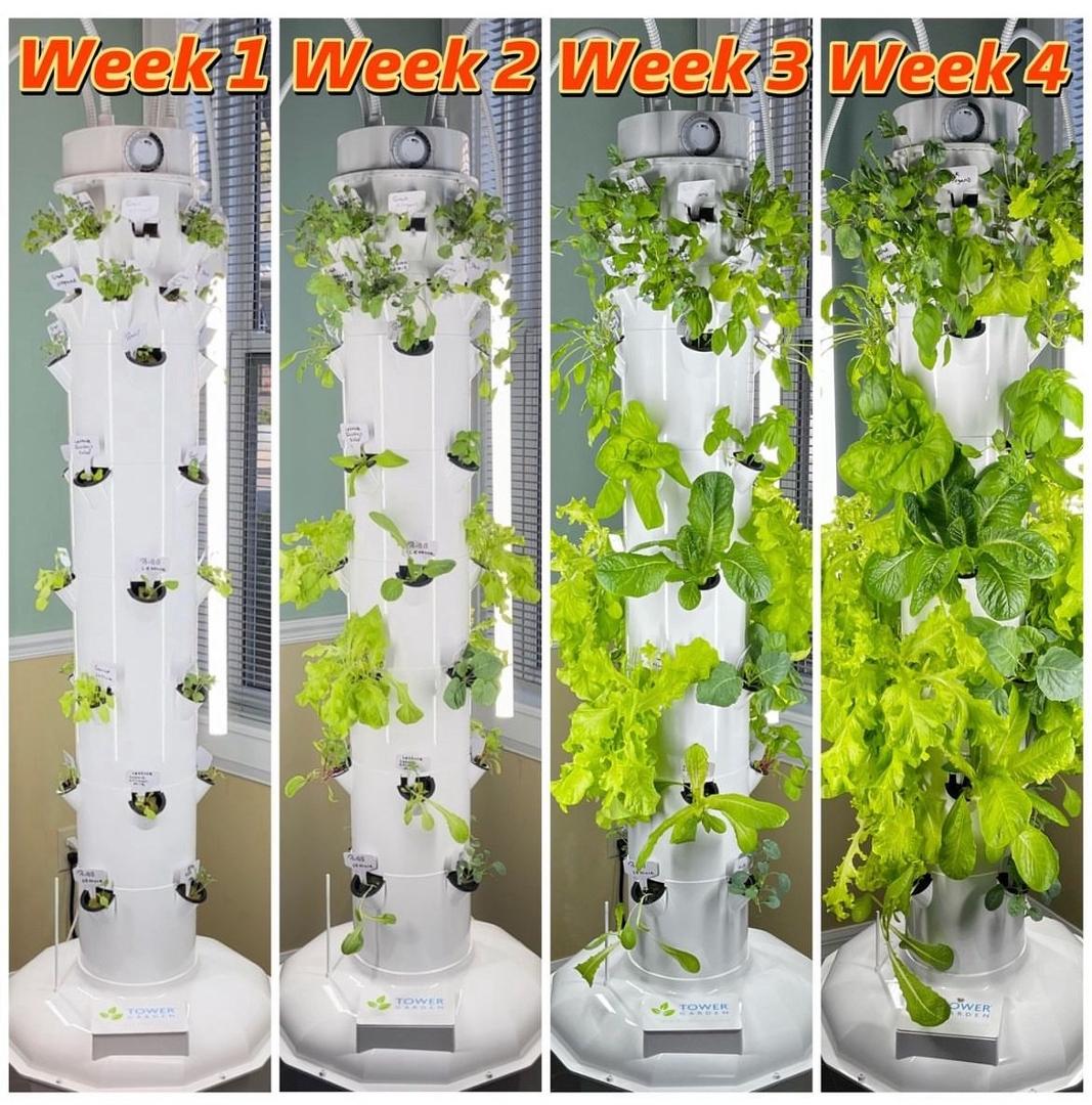 Did you know that aeroponic gardening uses 98% less water than traditional soil gardening? It's mind-blowing how much food you can grow with so little effort. If you're passionate about sustainability and fresh food, you ne