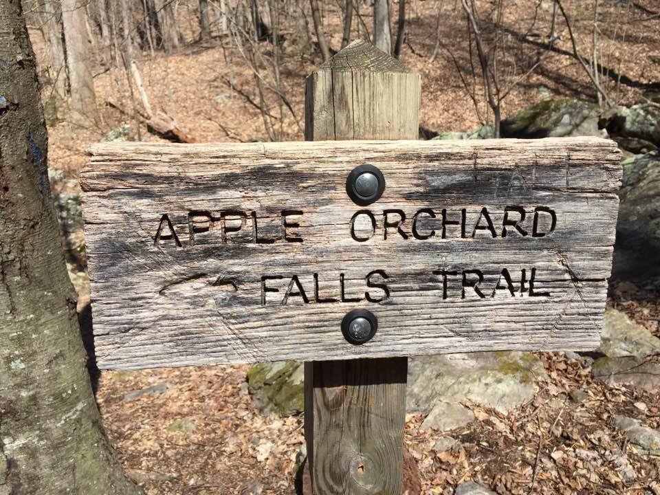 Eric Johnson's album, Timeline Photos