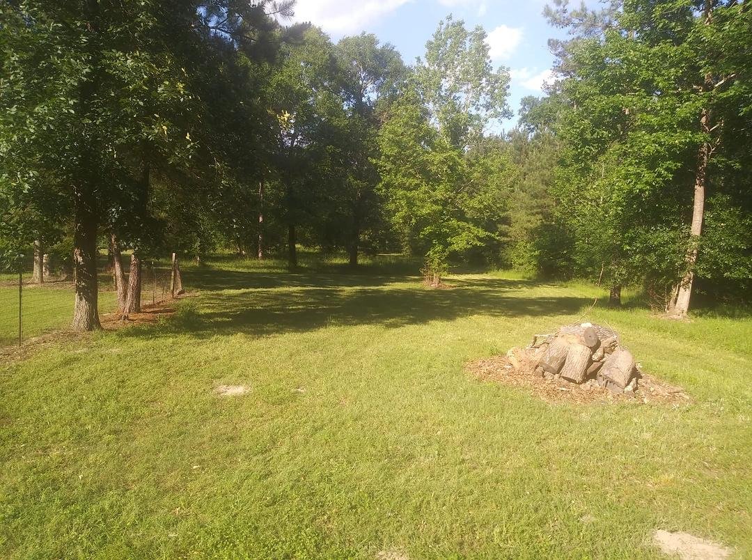 Looking out the other side of my backyard