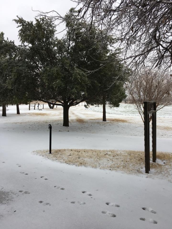 About 2-3 inches of Sleet....BOO!