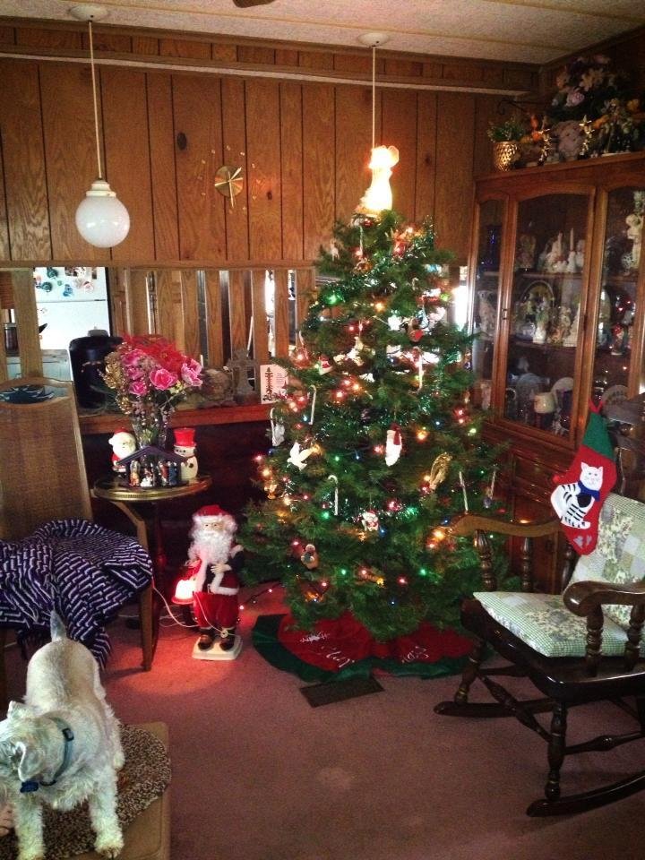 Everyone have a Merry Christmas & a prosperous New Year