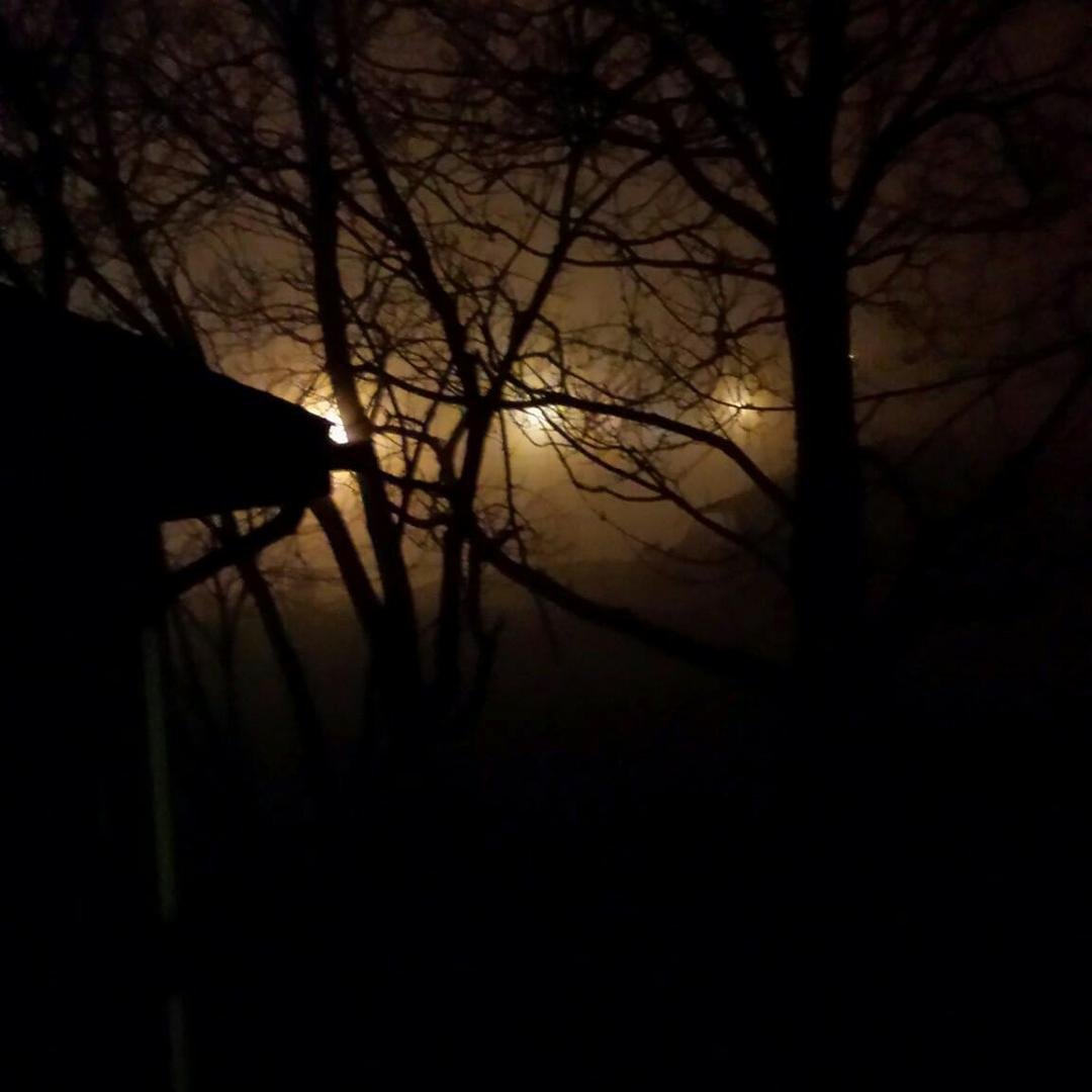 The fog down here at 1:00 This morning in Mtn Grove!