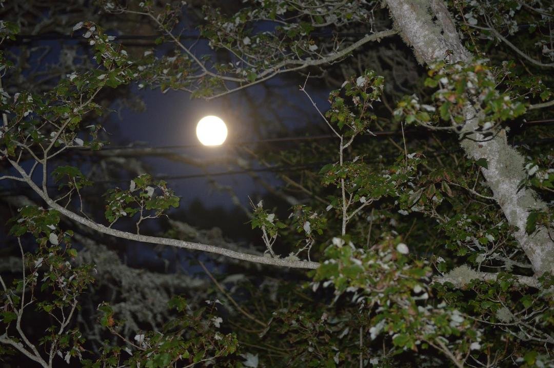 Not the pic I was hoping for tonight, hopefully tomorrow I will get out to the Beach early.