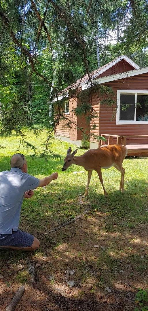 Having a visit from one of the locals.