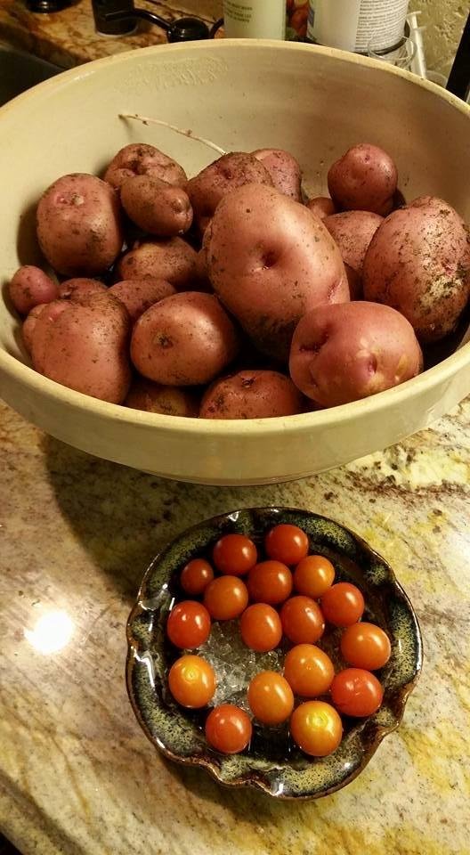 The harvest today.. Guess what is for dinner