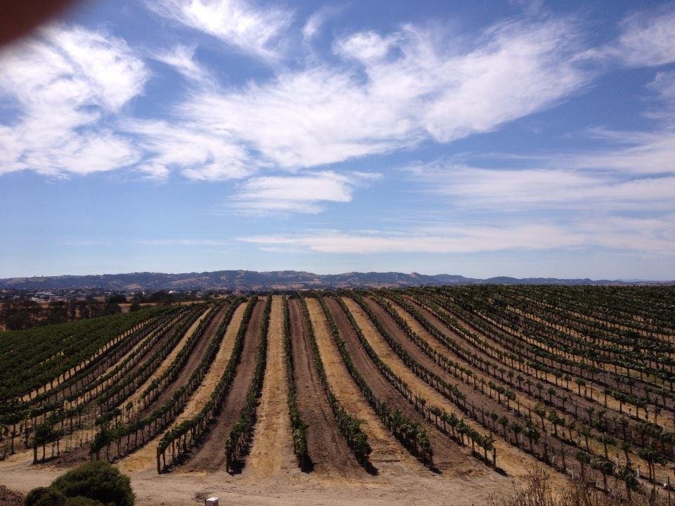 No this isn't Tuscany. It's Paso Robles enjoying wine tasting at Eberle. Almost in our backyard. Ciao for now